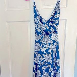 Blue and white floral dress
